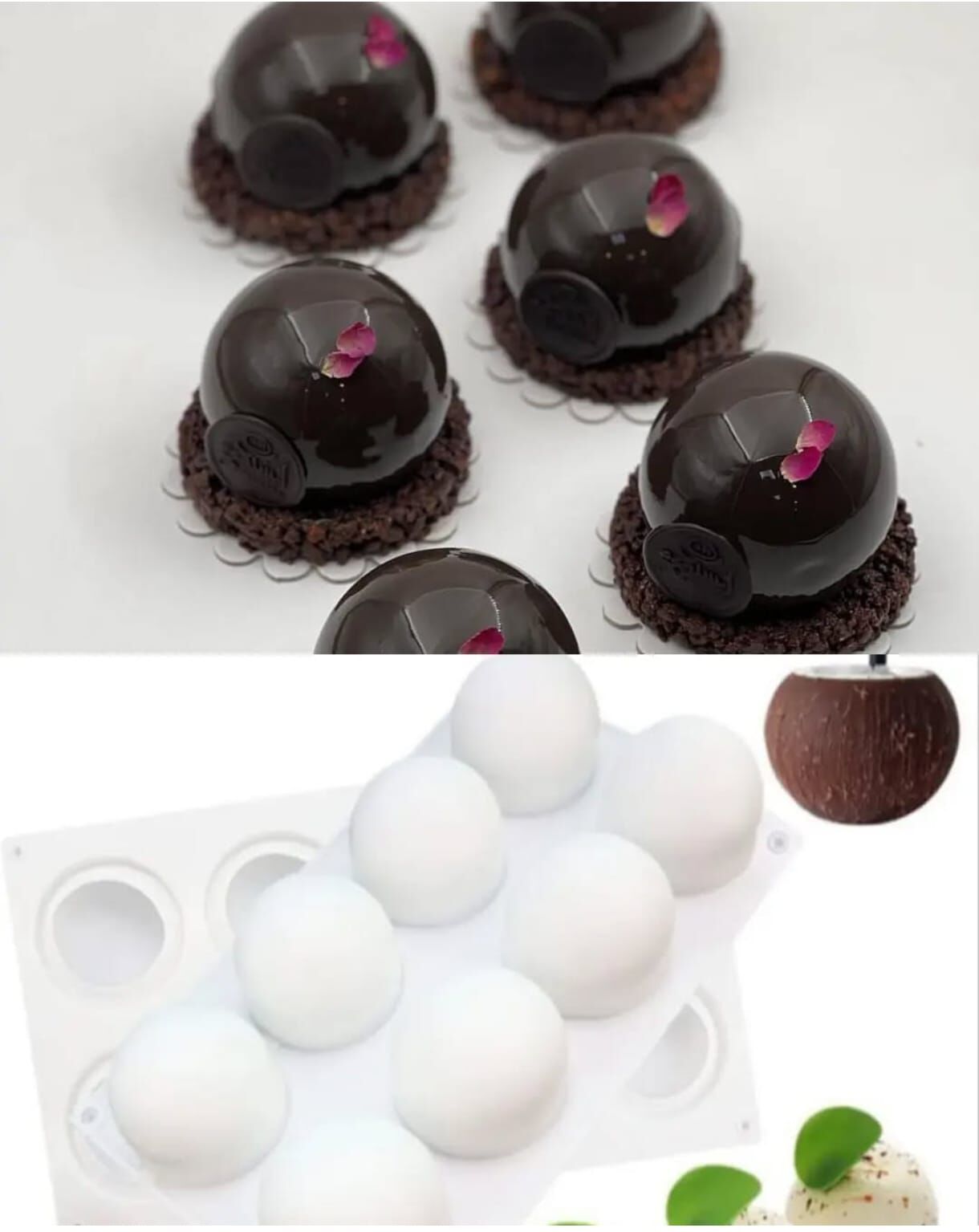 Coconut  Küre 8'li